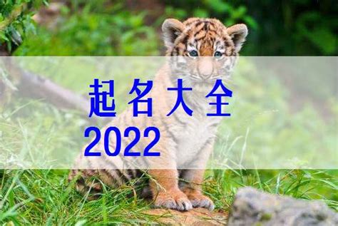 2022年虎寶寶幾月出生最好|虎宝宝2022年几月出生最好 虎宝宝2022年几点出生最好